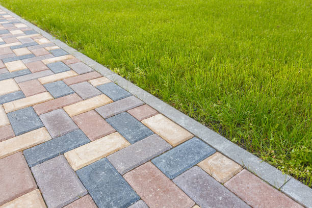 Best Driveway Paving Contractor  in Ashville, AL